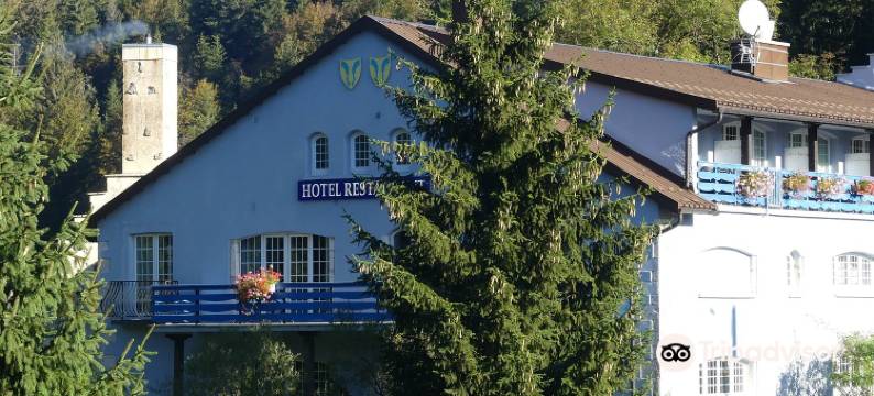 蓝色鳟鱼酒店(Hotel AU Moulin des Truites Bleues)图片