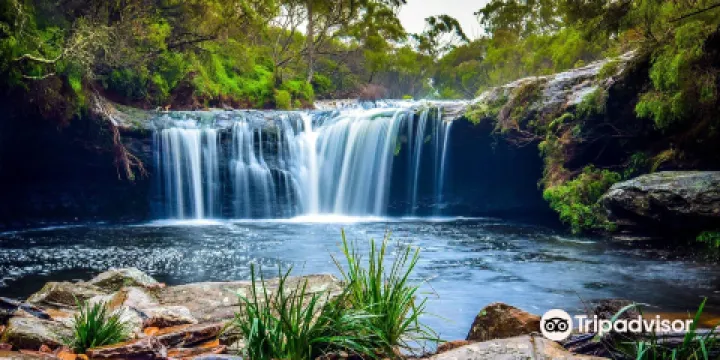 敏拉穆拉雨林中心 - 巴德魯國家公園