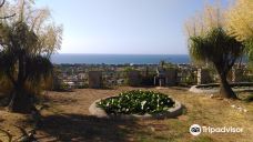 Fondazione Famiglia Piccolo-卡普多兰多