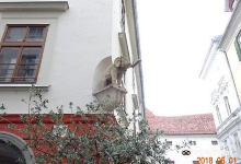 Pasar Kampung Muji Rahayu购物图片