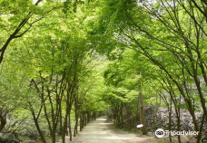 Gangcheonsan County Park-淳昌郡