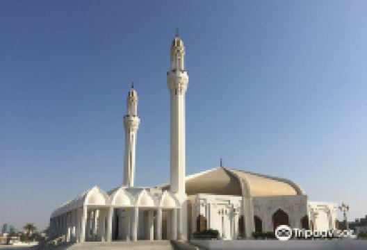 Hassan Enany Mosque景点图片