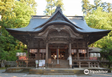 青海神社景点图片
