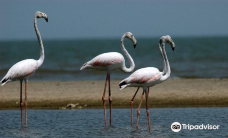 图尔卡纳湖国家公园-姆特瓦帕