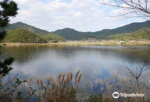 青海湖景点图片