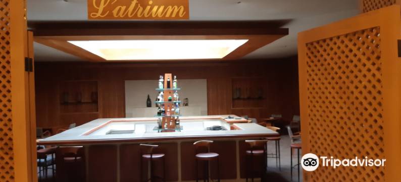 亚历山大酒店(Alexandre)图片