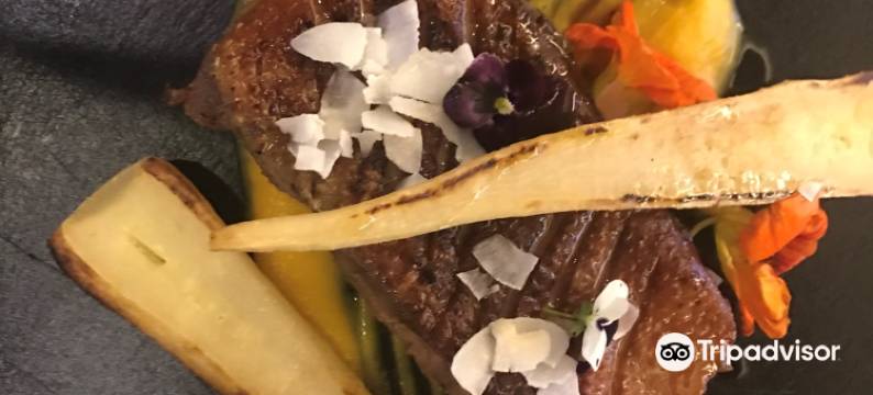 华查吉娜酒店(Hotel Wiatraczna)图片