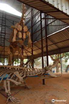 National Museum of Niger (Musee National du Niger)-尼亚美
