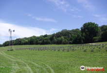 Loess Hills Lavender Farm景点图片
