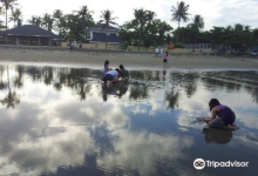 Tondaligan Beach景点图片