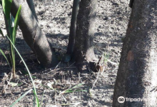 Toko bunga margareth购物图片