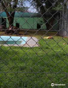 Botanical Garden of Asunción-亚松森