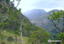 Sathuragiri Hills景点图片