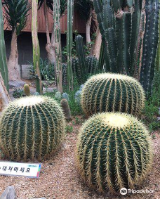 Bucheon Botanical Garden-富川市