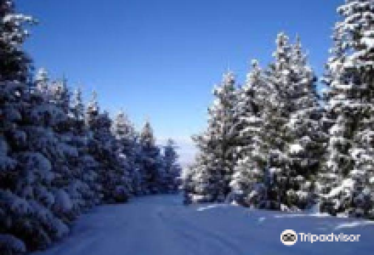 Karakol Gorge景点图片