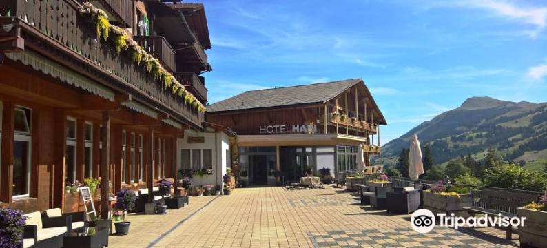 哈利埃姆斯湖勒吉利酒店(Hotel Hari im Schlegeli)图片