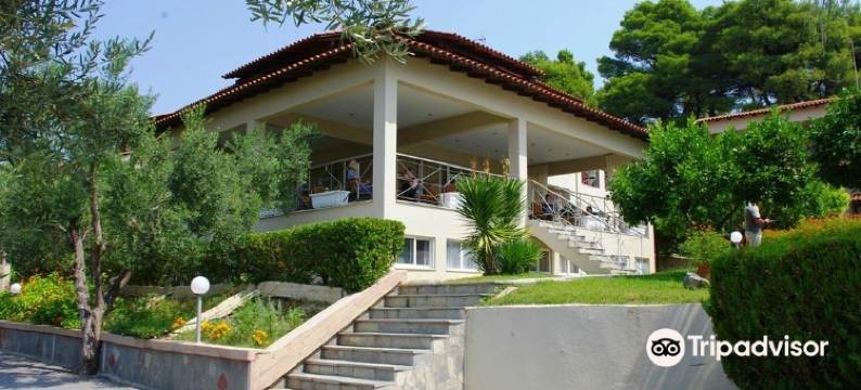 西娅酒店(Thea Hotel)图片