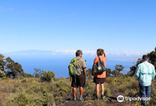可纳历史协会景点图片