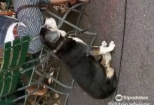 La Vigne购物图片