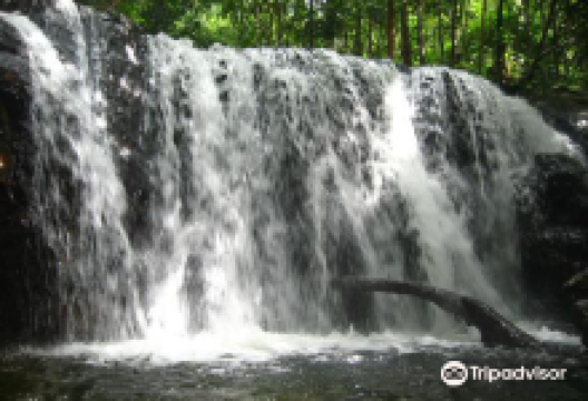 Tranh Stream景点图片
