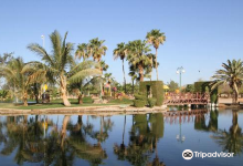 Yanbu Lake景点图片