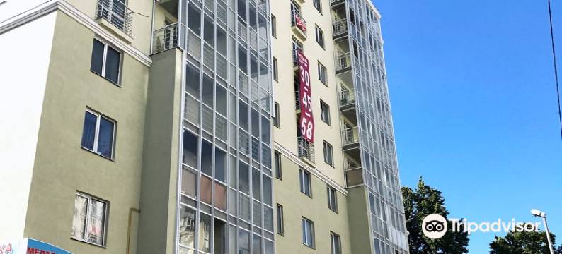 奔萨州中心精装公寓(Lux Apartment Penza Centr)图片