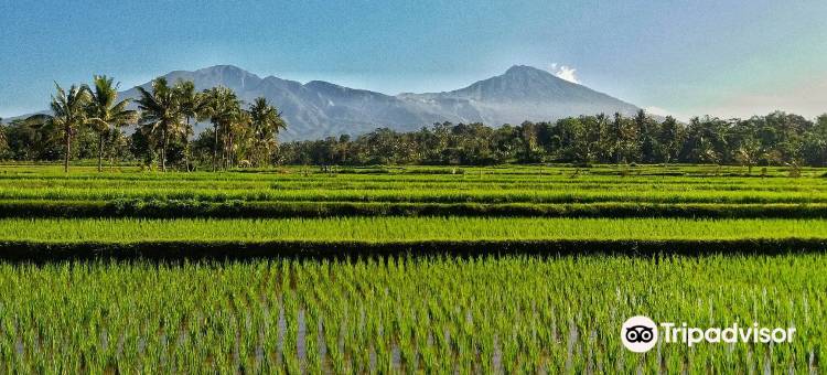 睦民宿(Mu Homestay)图片