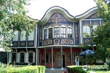 传统民族博物馆 - 普罗夫迪夫-普罗夫迪夫
