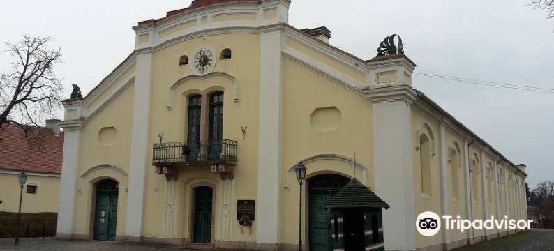 Kincsem Wellness Hotel图片