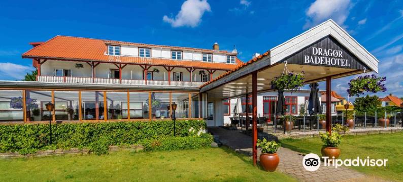 哥本哈根机场酒店(Copenhagen Airport Hotel)图片