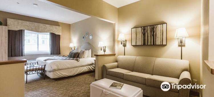 春日永恒套房(EverSpring Suites)图片