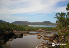 Hinchinbrook Island-巴西兰迪亚