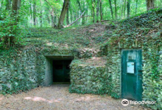 Prehistoric Flint Mines at Rijckholt-St.Geertruid景点图片