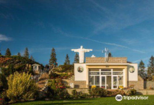 Vintage etc购物图片