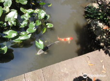 大神ファーム-日出町