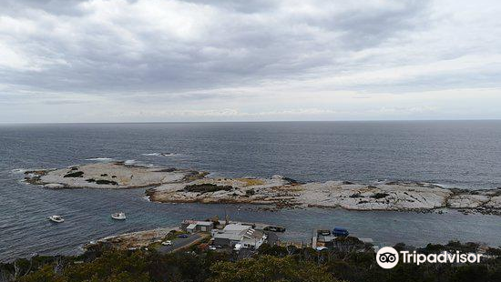 Whalers Lookout