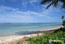 Aroa Beach景点图片