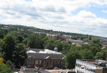 Dartford Borough Museum景点图片