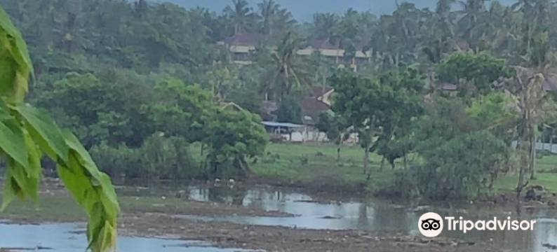 海滩阳台海景民宿(Balcony Ocean View Villas)图片
