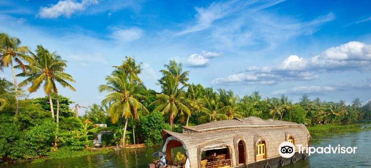 Capital O 45944 Club 7图片