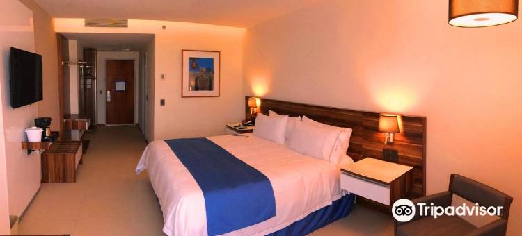 Holiday Inn Express 巴亚以塔港(Holiday Inn Express Puerto Vallarta)图片