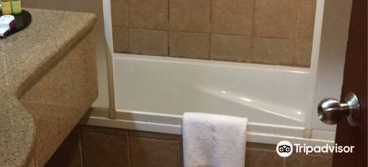 帕里斯尼布德尔酒店(Boudl Palestine)图片