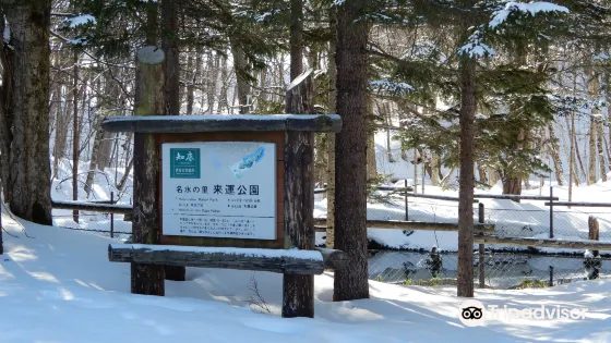 Izuminomori Raiun Park