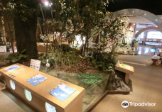 Eco Museum Sekigahara-关原町