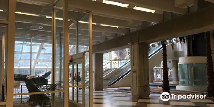 Broward County Main Library