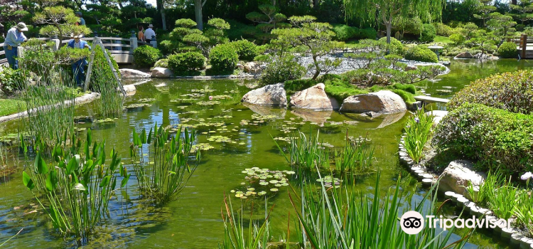 Earl Burns Miller Japanese Garden Travel Guidebook Must Visit