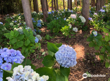 大神ファーム-日出町
