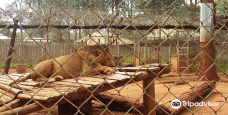 Nairobi Education Centre - Animal Orphanage-内罗毕