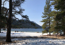 Lake Wenatchee State Park-奇兰县