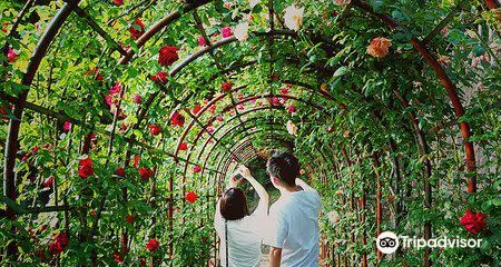 Atsumi Onsen's Rose Park